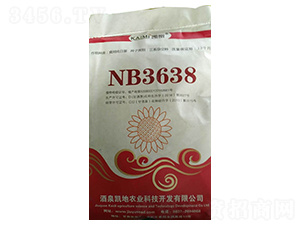 NB3638տN-NI