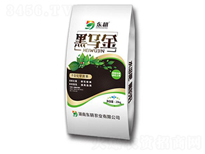 {턩-ڞ-|