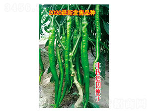 Lȫ烞-N-Ӣm