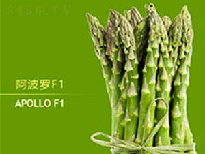 阿波羅F1-蘆筍種子-益碩豐農業