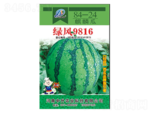 GL9816-ϷN-rI
