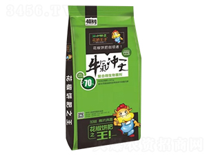 70%復合微生物菌劑-牛氣沖天-豐根