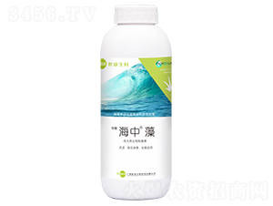 海藻有機水溶肥料-海中-世睿生物