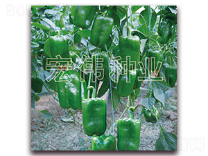 ̫2019-N-ꂥNI