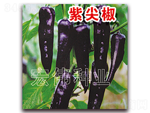 ϼ⽷-N-ꂥNI