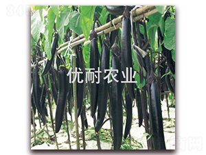 (yu)ī1013-ӷN-(yu)rI(y)