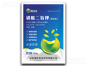 500g-rI