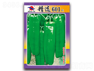 x601-ƤݽN-tlNI