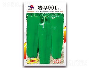 901-ƤݽN-tlNI