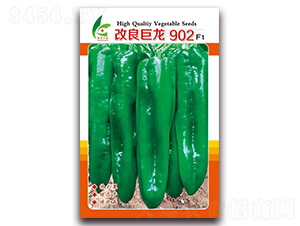 902-ƤݽN-tlNI