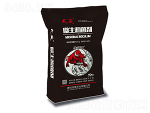 ΢40kg-껷ʘI