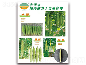 十國+明朝+宋朝-苦瓜種子-農(nóng)運(yùn)來