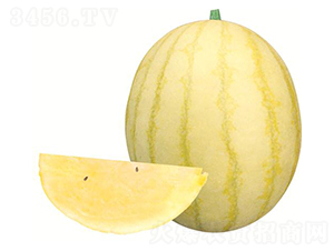 S-ϷN-(yu)rI(y)