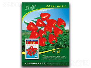 t-콷N-NI