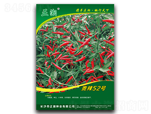 F52̖-콷N-NI