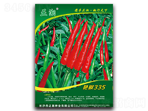 G335-콷N-NI