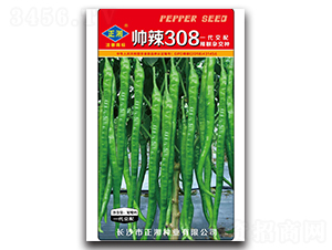 308ࣩ-N-NI