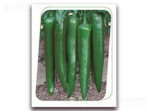 F119-N-rI