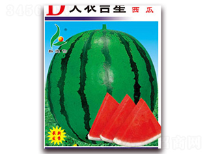 r-ϷN-Ƶ
