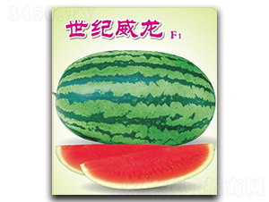 o-ϷN-߿ƷNI