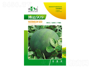h909-rNI