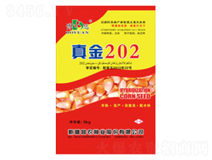 真金202-昌農種業