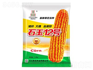 ʯ12̖-NI