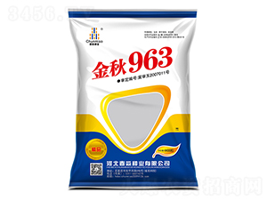 963-NI