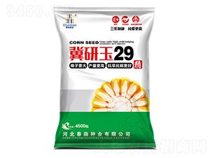 29-NI