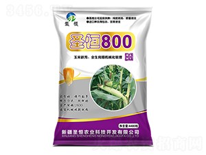 ʥ800-NI