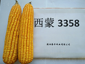 3358-¡SNI