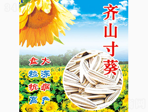 齊山寸葵-齊山種業