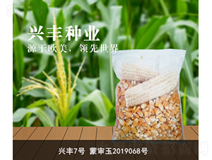 興豐7號-興豐種業