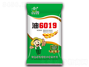 15kg6019-󶹷N-SƷNI