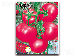 w70-ѷN-wrI