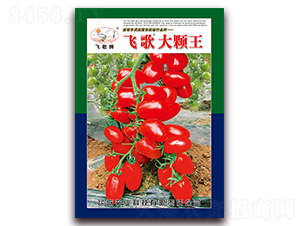 飛歌大顆王-番茄種子-飛歌農業