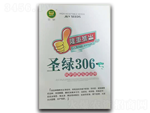ʥG306̖-SϷN-VrI