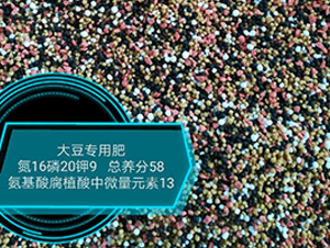󶹌ðḯֲ΢Ԫ16-20-9-rrI