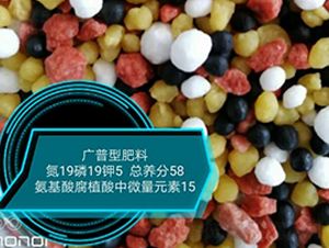 ḯֲ΢Ԫ19-19-5-rrI