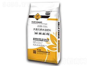 10kg大量元素水溶肥料20-20-20+TE-普魯特