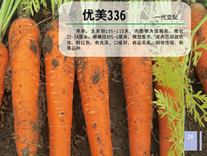 336-}N-֮W