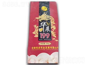華展199-玉米種子-恒進農業