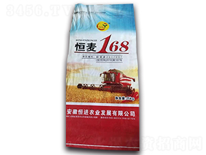 恒麥168-小麥種子-恒進農業