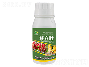 矮立壯-巧邦農(nóng)業(yè)