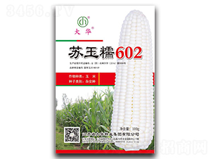 KŴ602-׷N-ANI