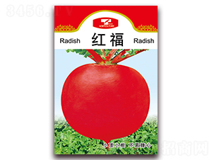 t-}N-ǷNI