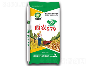 r57914kg-СN-ԥβ