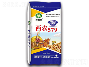r57915kg-СN-ԥβ