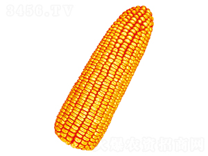 혆7̖-׷N-SNI