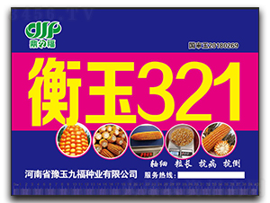 衡玉321-玉米種子-九福種業